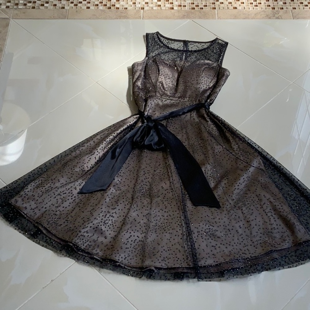 Jessica Howard sheer dress